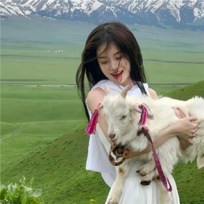 封神榜之凤鸣岐山