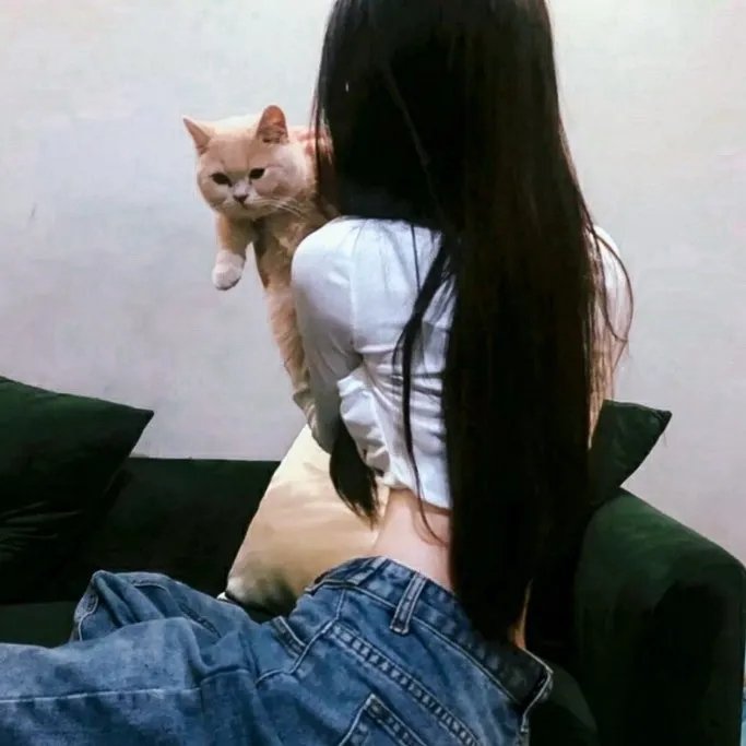 蓝色大丽花